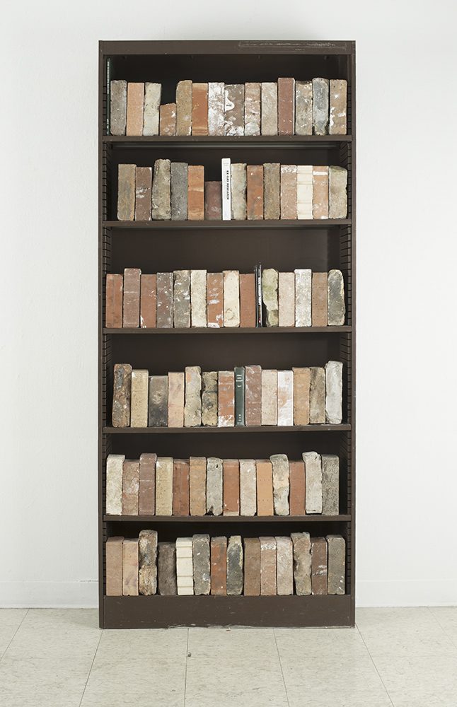 book shelf with books