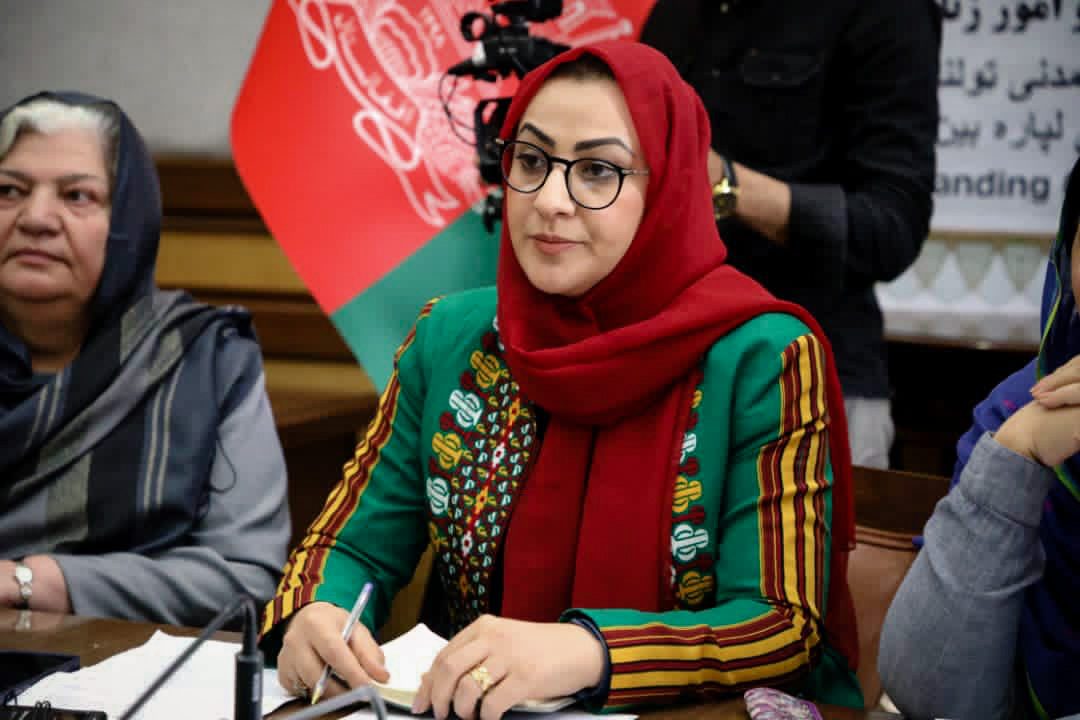 Naheed Farid speaking to European representatives