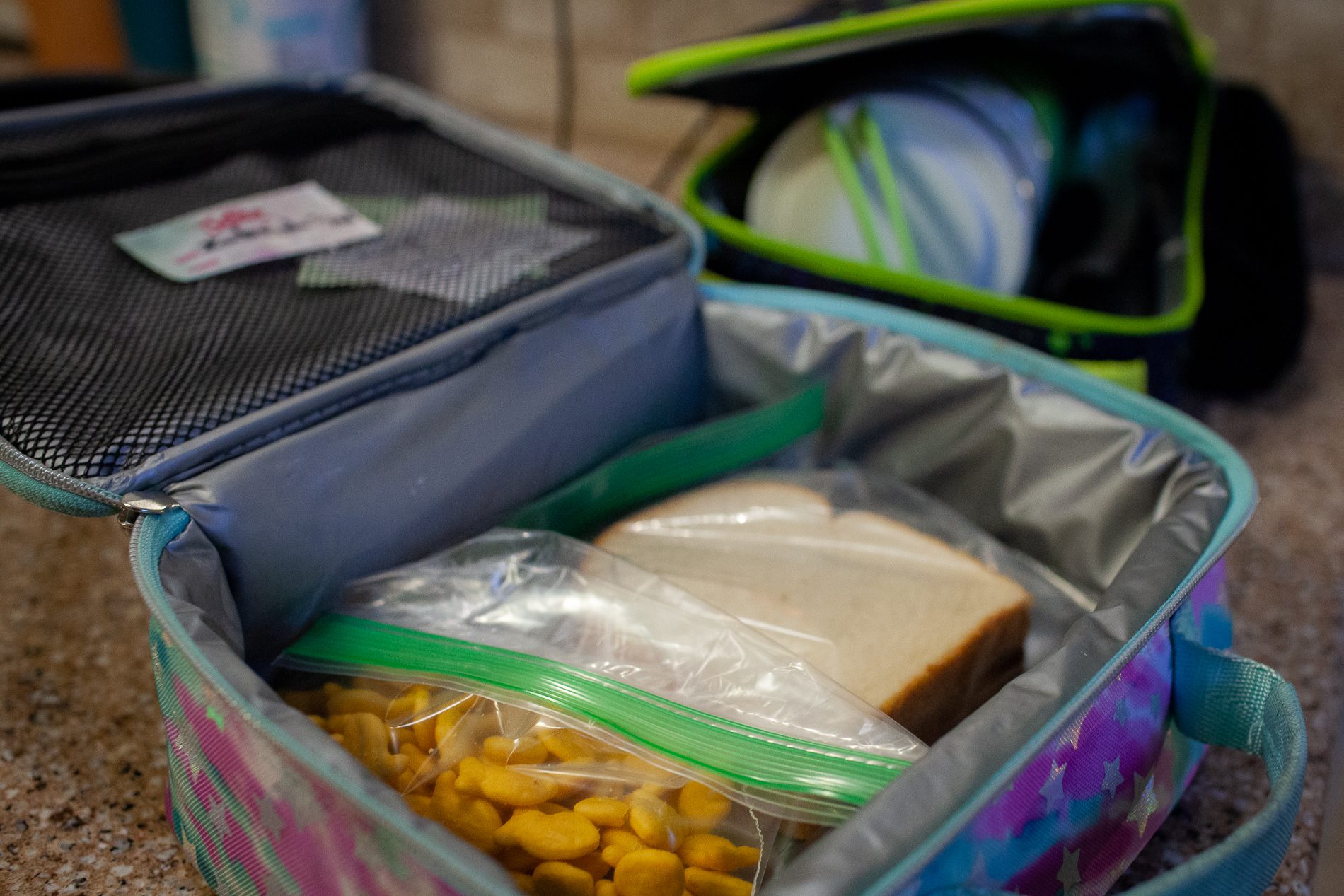 An open lunchbox with goldfish and a sandwich