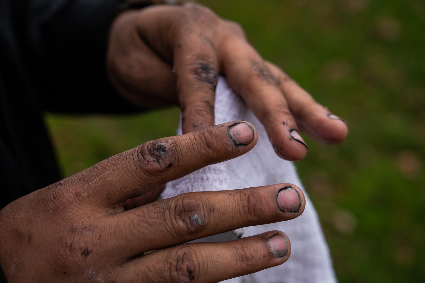dark paint shown on Nolram's hands with grass in the background